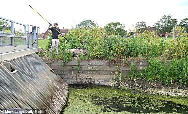 Welcome to sewage-on-sea: Britain's most fashionable tourist hotspot Whitstable is being despoiled by floods of effluent pouring into the ocean, just as the taps in homes and businesses run dry