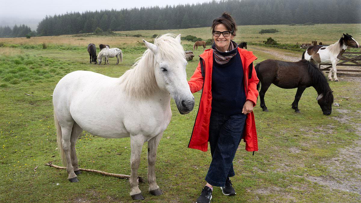 Revealed: The woke quango that wants to cull EVERY wild pony on Dartmoor - and won't even speak to the people fighting to save their lives...