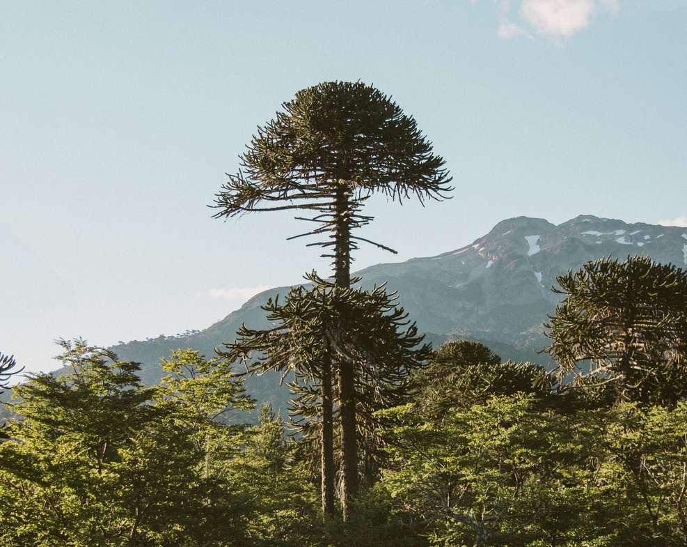 Here’s the latest.