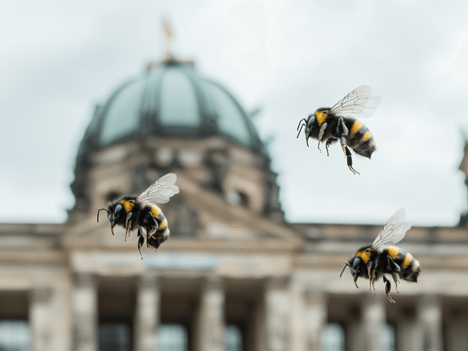 Surging benefits bill pushes Germans into the arms of the far-Right